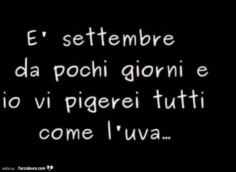 È settembre da pochi giorni e io vi pigerei tutti come l'uva