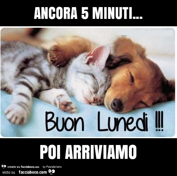 Ancora 5 minuti&hellip; poi arriviamo