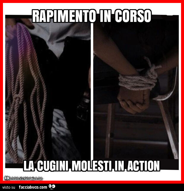 Rapimento in corso la cugini molesti in action