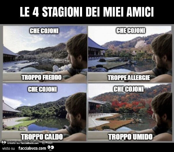 Le 4 stagioni dei miei amici