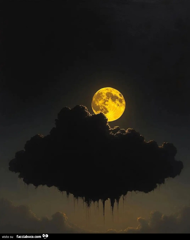 Notte