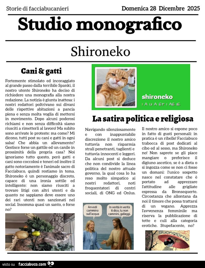 Monografia di Shironeko