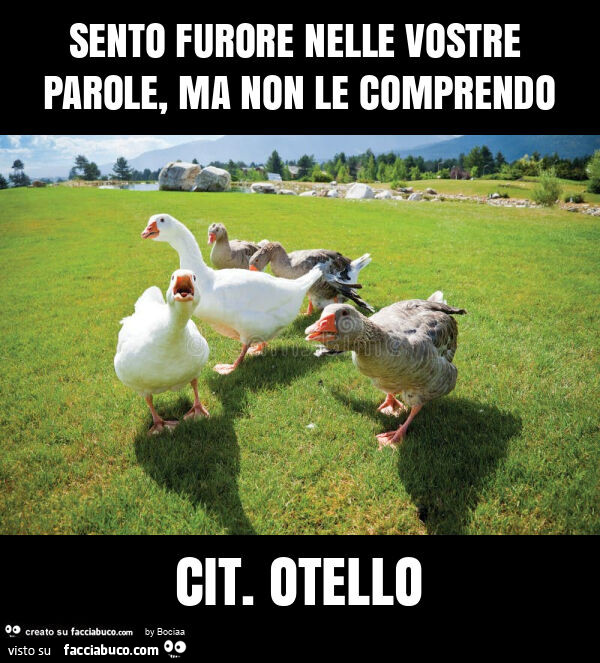Sento furore nelle vostre parole, ma non le comprendo cit. Otello
