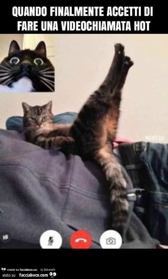 Quando finalmente accetti di fare una videochiamata hot