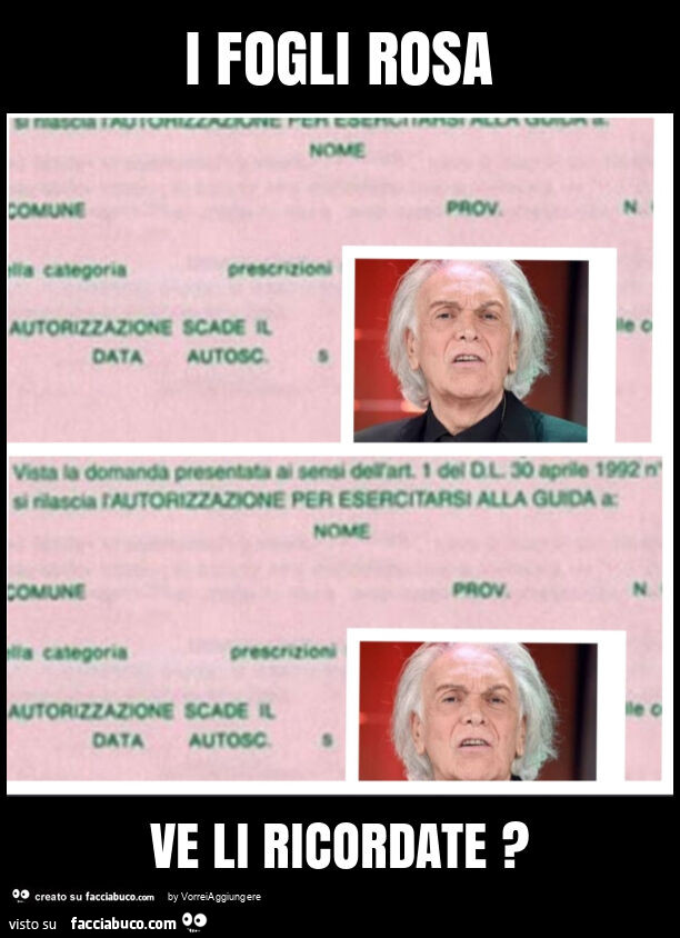 I fogli rosa ve li ricordate?