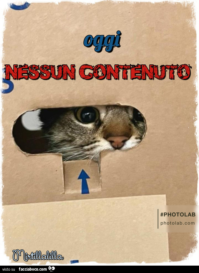 Nessun contenuto