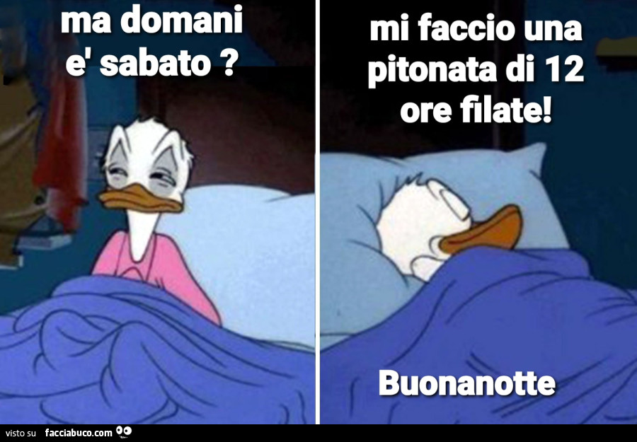 Sabato