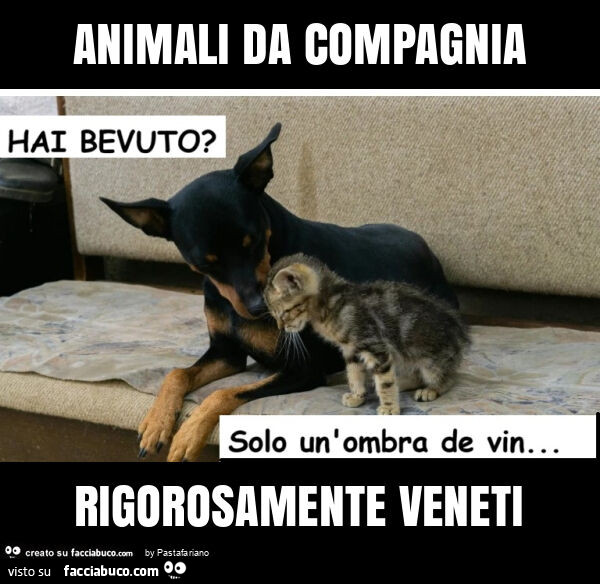 Animali da compagnia rigorosamente veneti