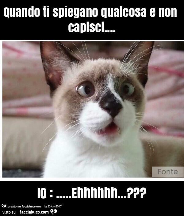 Quando ti spiegano qualcosa e non capisci… io: … ehhhhhh… ?