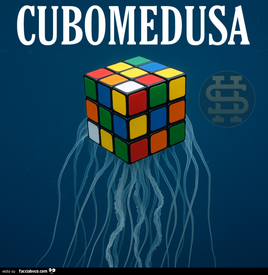 Cubomedusa
