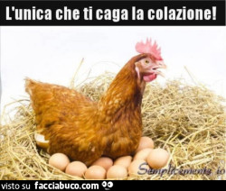 Vaccata