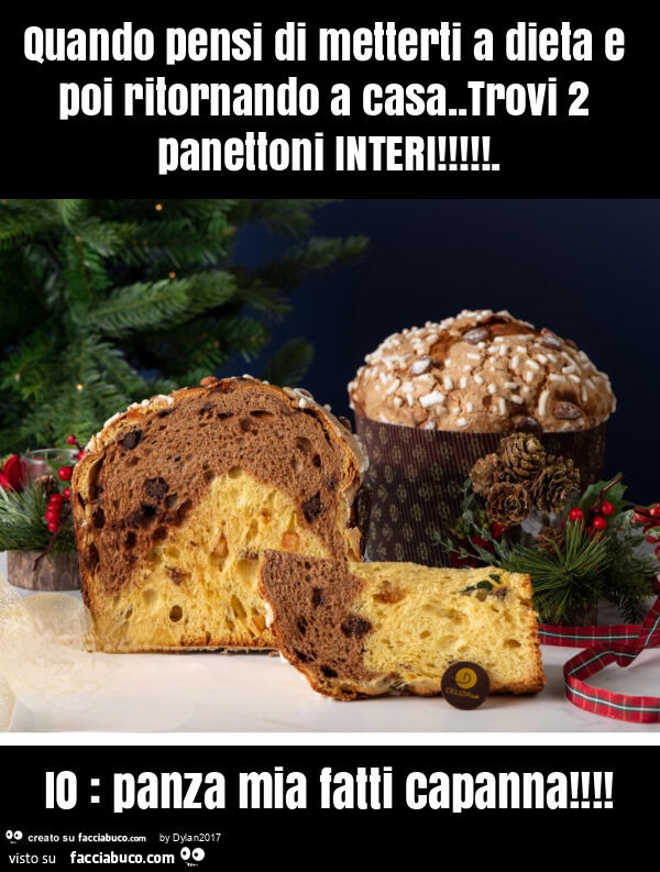 Quando pensi di metterti a dieta e poi ritornando a casa. Trovi 2 panettoni interi! . Io: panza mia fatti capanna
