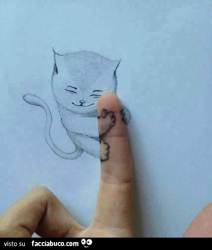 Gattino disegnato