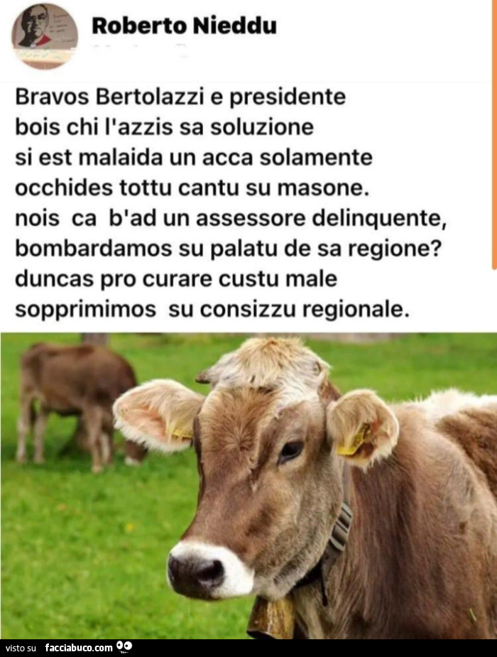 Vaccata