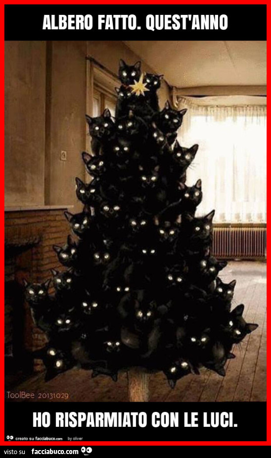 Albero fatto. Quest'anno ho risparmiato con le luci