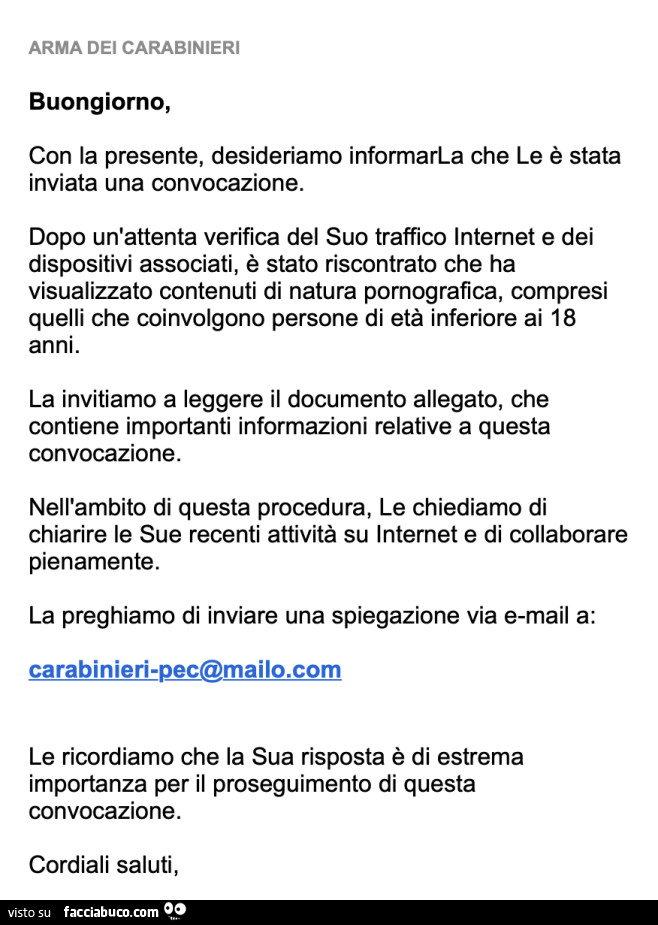 Arma dei carabinieri. Buongiorno, con la presente, desideriamo informarla che le è stata inviata una convocazione. Dopo un'attenta verifica del suo traffico internet e dei dispositivi associati