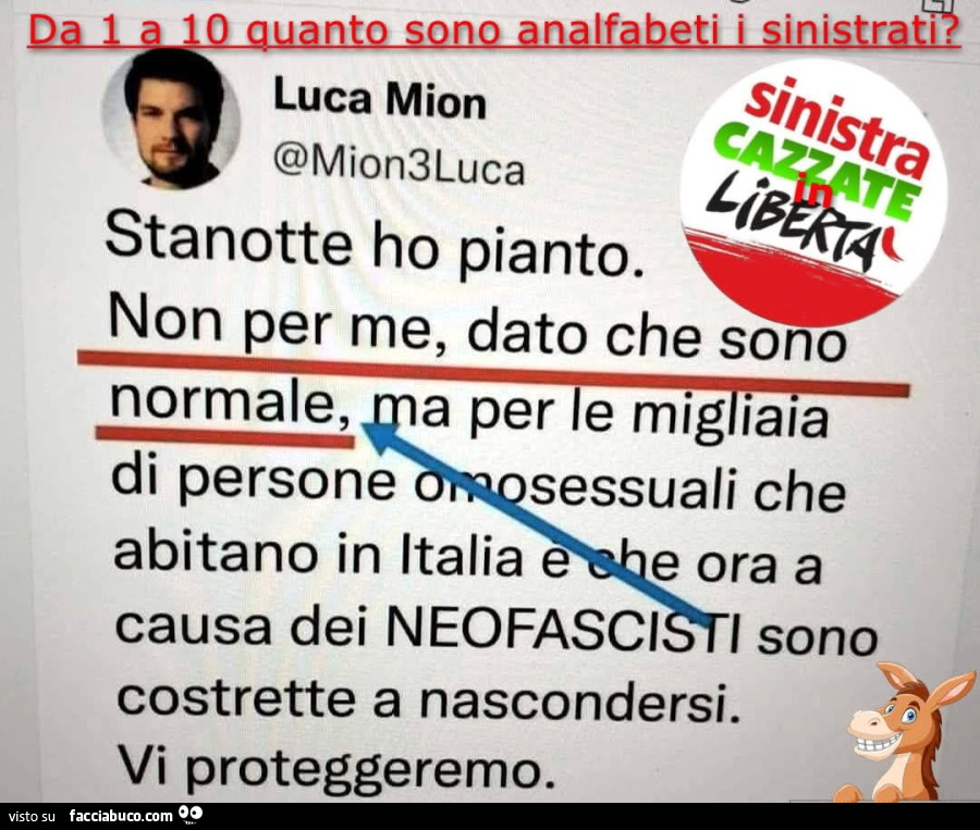 Vaccata