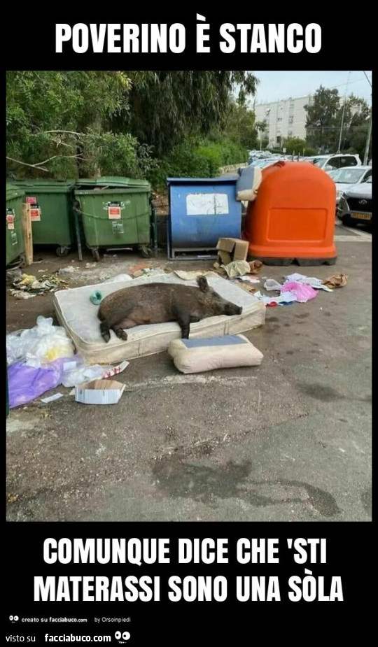 Poverino è stanco comunque dice che 'sti materassi sono una sòla