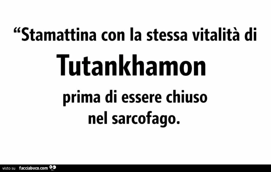 Stamattina con la stessa vitalità di tutankhamon prima di essere chiuso nel sarcofago