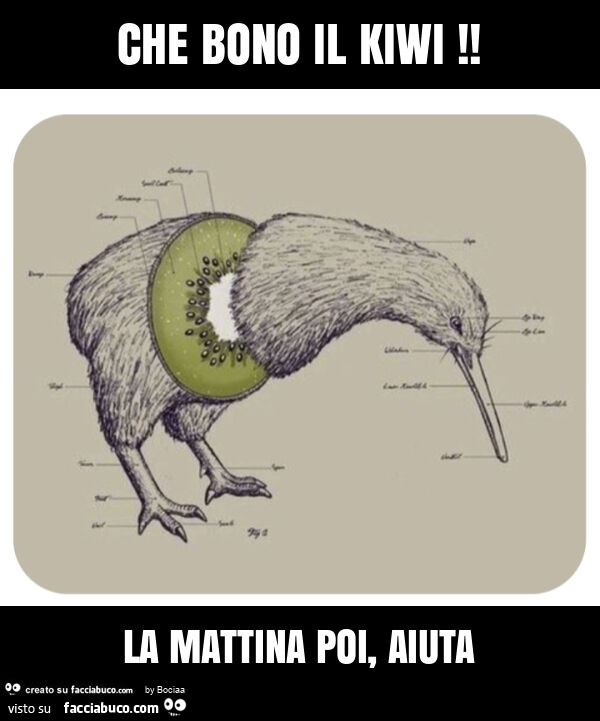 Che bono il kiwi! La mattina poi, aiuta