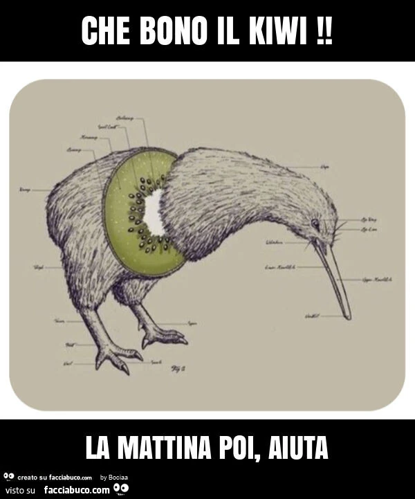 Che bono il kiwi! La mattina poi, aiuta