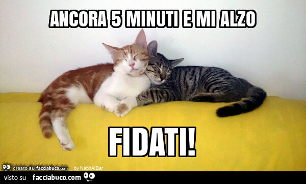 Ancora 5 minuti e mi alzo fidati