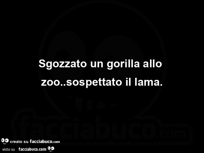 Sgozzato un gorilla allo zoo. Sospettato il lama