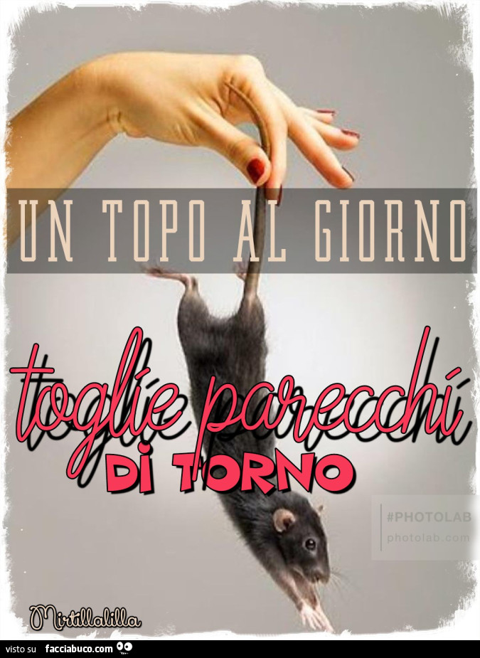 Un topo al giorno