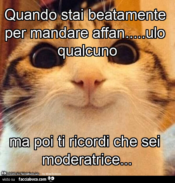 Quando stai beatamente per mandare affan… ulo qualcuno ma poi ti ricordi che sei moderatrice