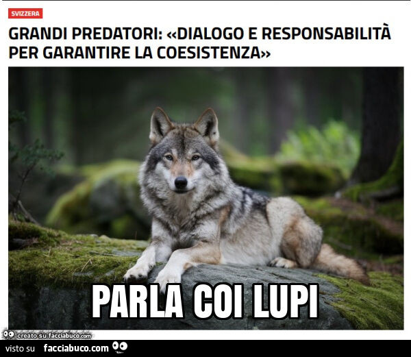 Parla coi lupi