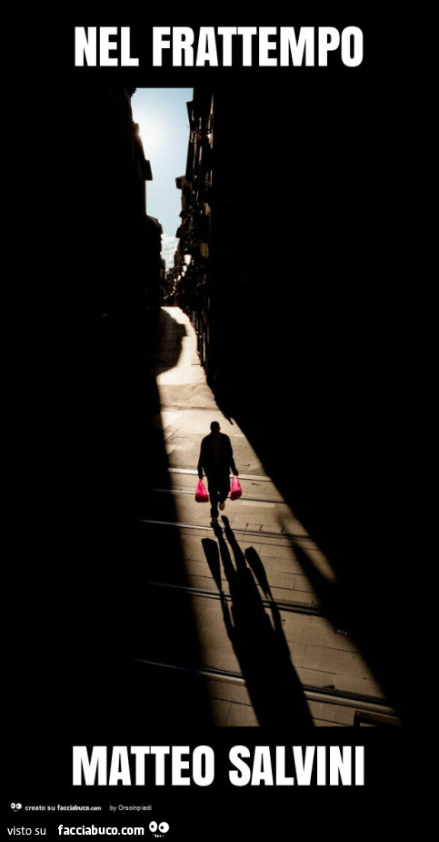 Nel frattempo matteo salvini