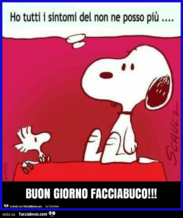Buon giorno facciabuco