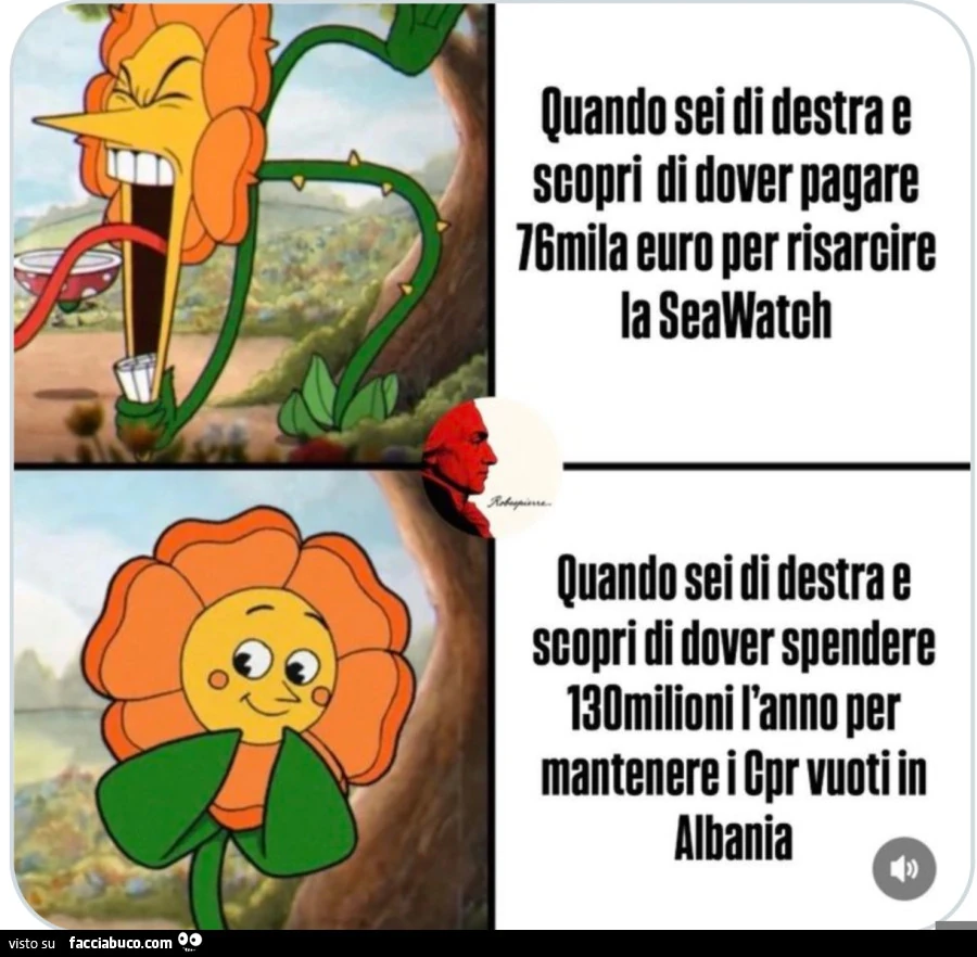 Vaccata