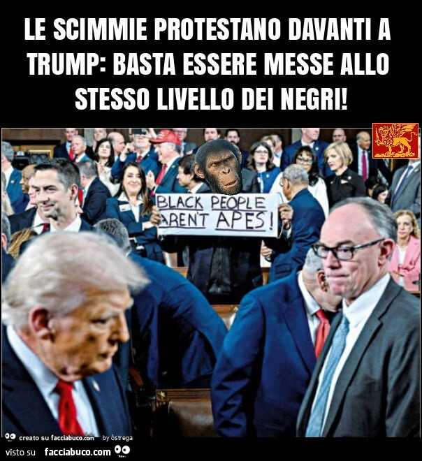 Le scimmie protestano davanti a trump: basta essere messe allo stesso livello dei negri
