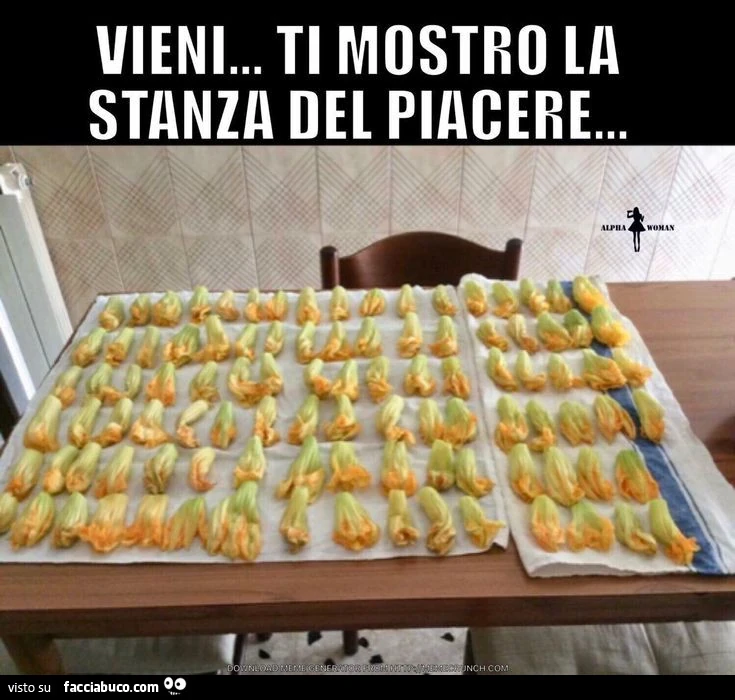 Stanza