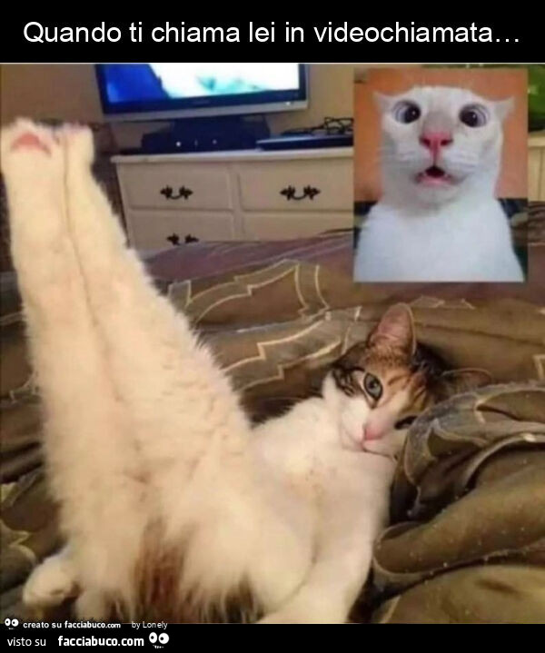 Quando ti chiama lei in videochiamata&hellip;