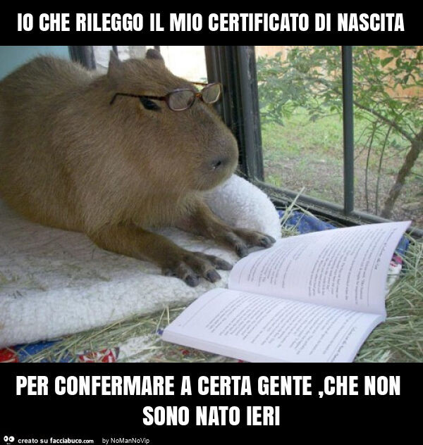 Io che rileggo il mio certificato di nascita per confermare a certa gente, che non sono nato ieri