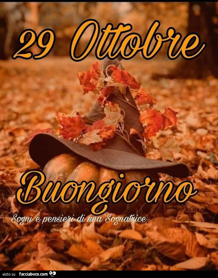 Zucca con cappello. Buongiorno