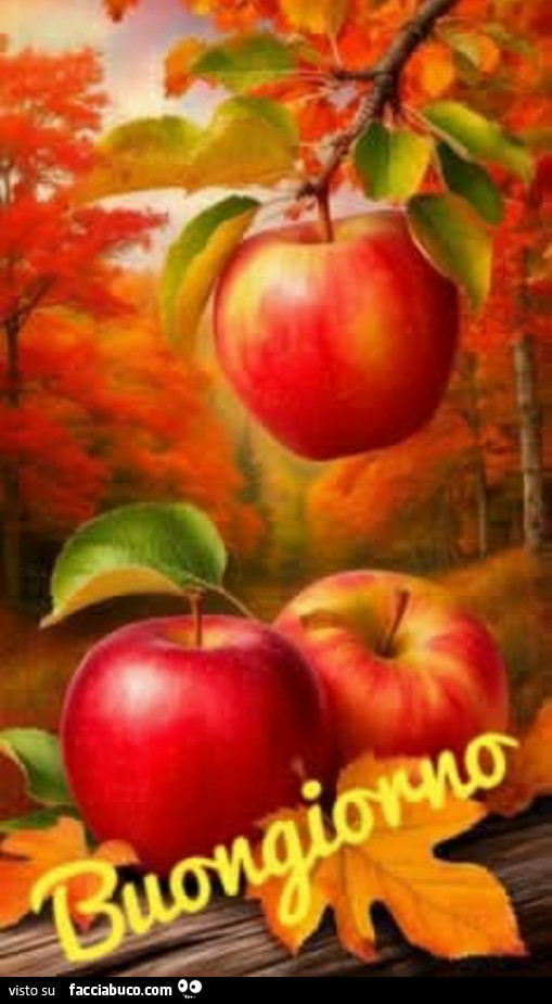 Mele rosse. Buongiorno