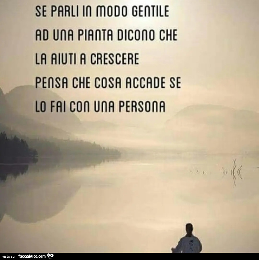 Se parli in modo gentile ad ua pianta dicono che l'aiuti a crescere pensa che cosa accade se lo fai con una persona