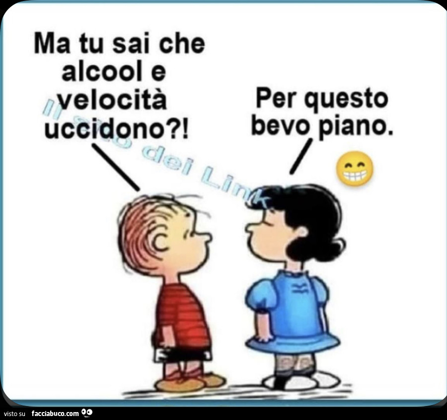 Ma tu sai che alcool e velocitร uccidono?! Per questo bevo piano