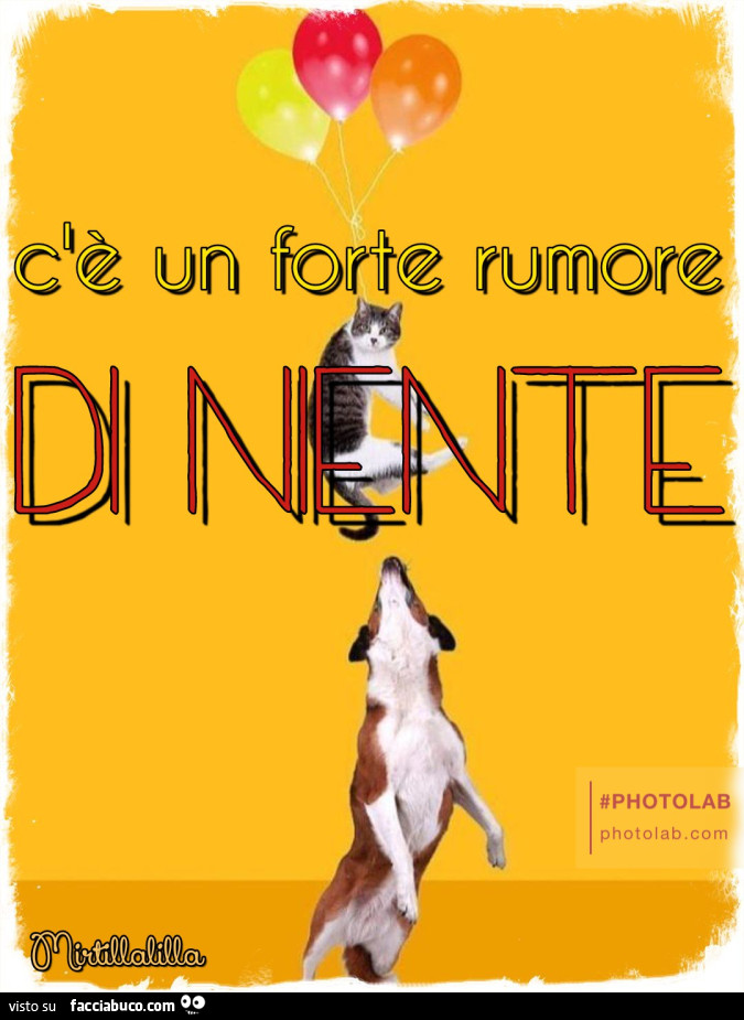 C'è un forte rumore di neinte