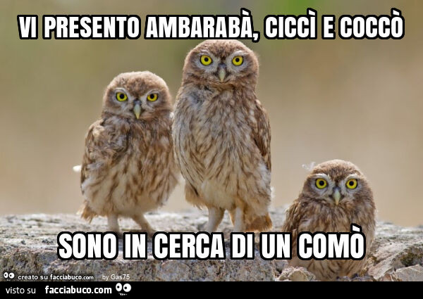 Vi presento ambarabร , ciccรฌ e coccรฒ sono in cerca di un comรฒ