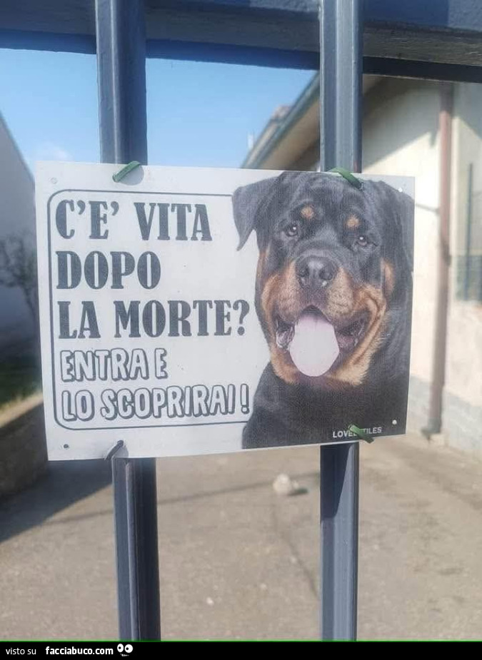 C'è vita?