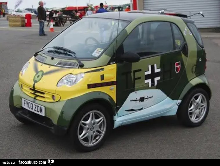 Bundeswehr, Smart