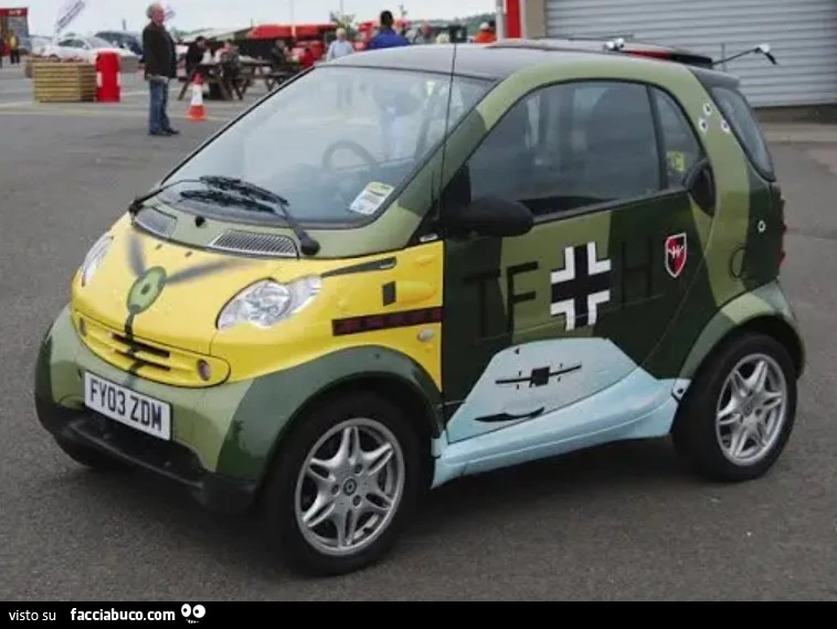 Bundeswehr, Smart