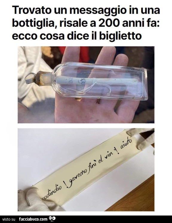Vaccata