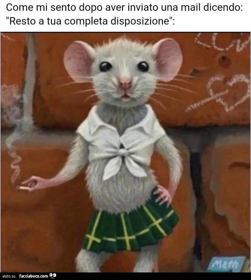 Come mi sento dopo aver inviato una mail dicendo resto a tua completa disposizione topa