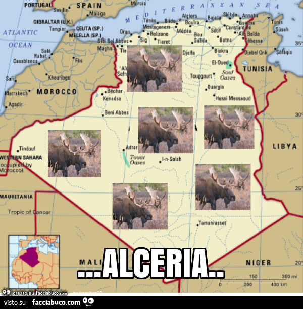 Alceria