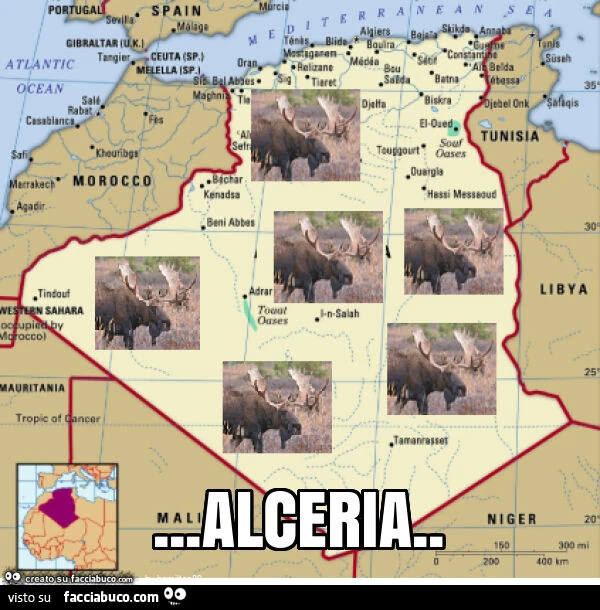 Alceria